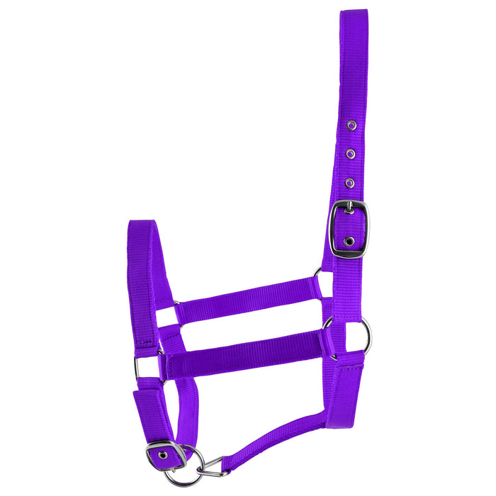 Jeffers Adjustable Nylon Full Size Horse Halter - GAG1W2 - Purple - 15