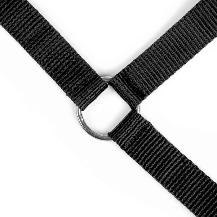 Jeffers Adjustable Nylon Full Size Horse Halter - GAGDL - Black - 6