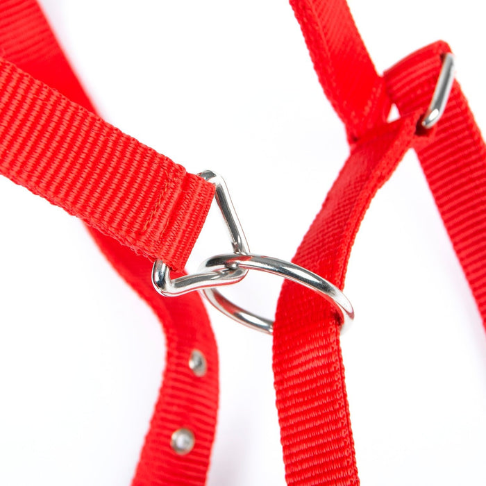 Jeffers Adjustable Nylon Full Size Horse Halter - GAGDM - Red - 8
