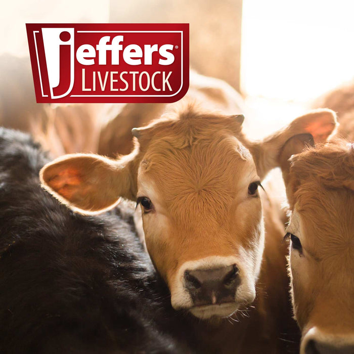 Jeffers Band Castration Tool for Livestock - I3C1 - 8