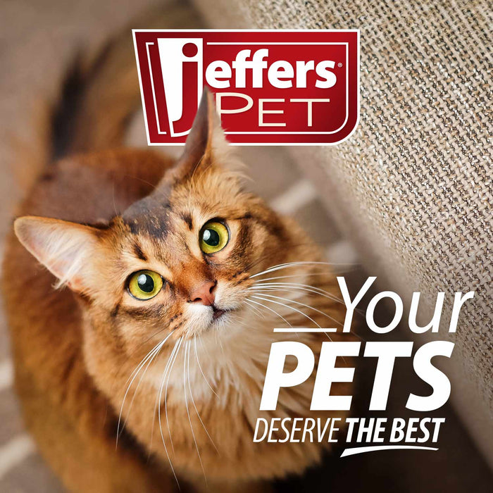 Jeffers BELLY BUDDY Probiotic Supplement Packets for Cats – Multi - Strain Digestive & Immune Support - JEFZVF - Chicken Liver - 30 ct - 7