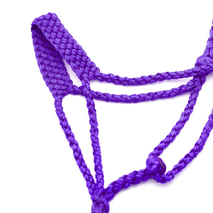 Jeffers Braided Mule Tape Halter with 10' Lead for Horses - JEF11E - Purple - Full - 25
