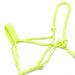 Jeffers Braided Mule Tape Halter with 10' Lead for Horses - JEF11J - Lime Green - Full - 31