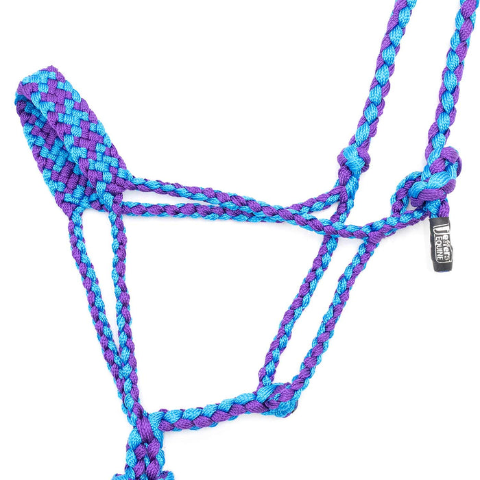 Jeffers Braided Mule Tape Halter with 10' Lead for Horses - JEF11N - Turquoise & Purple - Full - 37