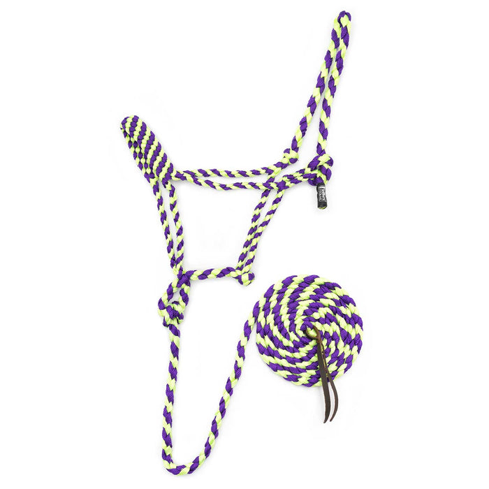 Jeffers Braided Mule Tape Halter with 10' Lead for Horses - JEF11P - Purple & Lime Green - Full - 39