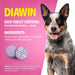 Jeffers Diawin Digestive Support for Dogs – Bismuth Tummy Relief for Diarrhea - JEFBB4 - 1000 Tablets - 4