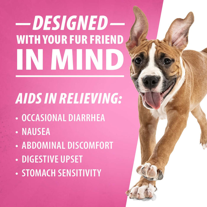 Jeffers Diawin Digestive Support for Dogs – Bismuth Tummy Relief for Diarrhea - JEFBB4 - 1000 Tablets - 6
