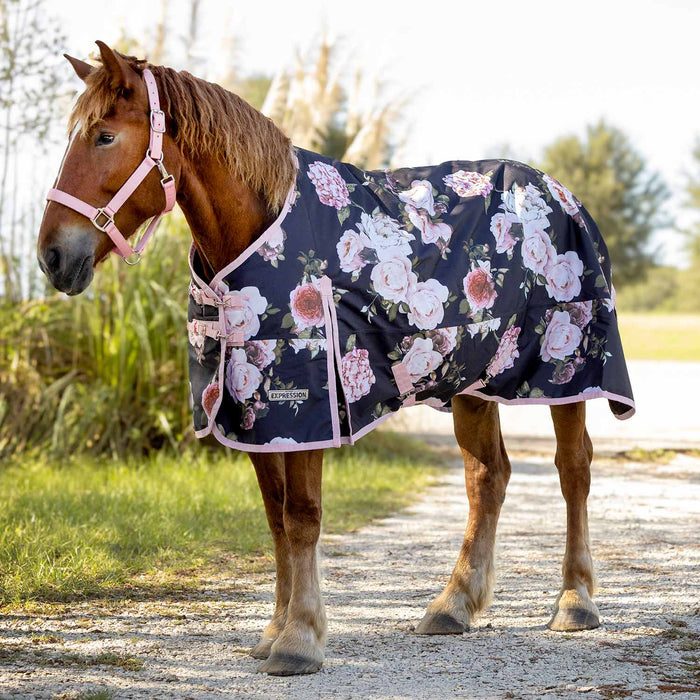 Jeffers Expression 1200D Draft Horse Turnout Blanket, 240 g | Waterproof, Breathable & Safe Design - JEF2UZ - Rose Garden - 87" - 5