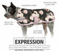 Jeffers Expression 600D Waterproof Ripstop Dog Coat, 240 Gram - JEF2HK - Rose Garden - 16" - 13