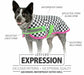 Jeffers Expression 600D Waterproof Ripstop Dog Coat, 240 Gram - JEF2J4 - Skater Pup - 16" - 27