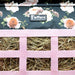 Jeffers Expression Extend - Feed Hay Bag for Horses & Livestock - JEF2JN - Rose Garden - 15