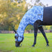 Jeffers Expression Lycra Hood for Horses - JEF2YQ - Equestrian Toile - Cob - 3