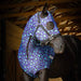 Jeffers Expression Lycra Hood for Horses - JEFCL9 - PreSale Maya Cheetah - Cob - 18