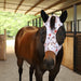 Jeffers Expression Lycra Horse Fly Mask with Ears - JEF2Q9 - Rose Garden - Cob - 7