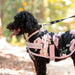 Jeffers Expression Moisture - Wicking Fleece Dog Coat - JEF2HU - Rose Garden - 16" - 11