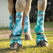 Jeffers Expression Protective Boots for Horses - JEF2X8 - Bisbee Blue - Small - 2 ct - 11