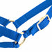 Jeffers Goat Halter - SSHH - Small (30" - 34") - Royal Blue - 7