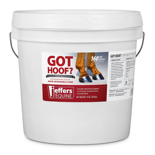 Jeffers Got Hoof? Hoof Builder Supplement for Horses - JAXG1 - 10 lbs - 160 Day Supply - 1