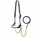 Jeffers Harness Leather Show Halter for Cattle – Includes Lead & Brass Chain - JEF01K - Black - Small - 1 - 4