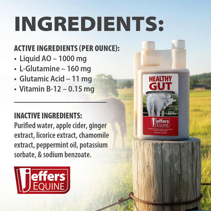 Jeffers Healthy Gut Gastric Support Liquid Supplement for Horses - JEF2PA - 32 oz - 32 Day Supply - 1 - 4
