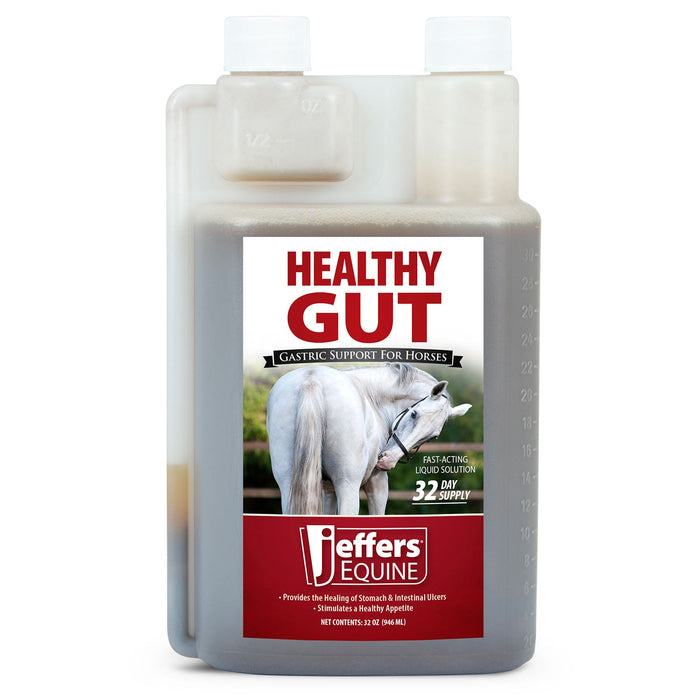 Jeffers Healthy Gut Gastric Support Liquid Supplement for Horses - JEF2PA - 32 oz - 32 Day Supply - 1 - 1