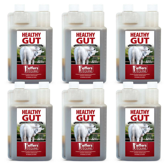 Jeffers Healthy Gut Gastric Support Liquid Supplement for Horses - JEF2PA-KIT - 32 oz - 32 Day Supply - 6 - 6