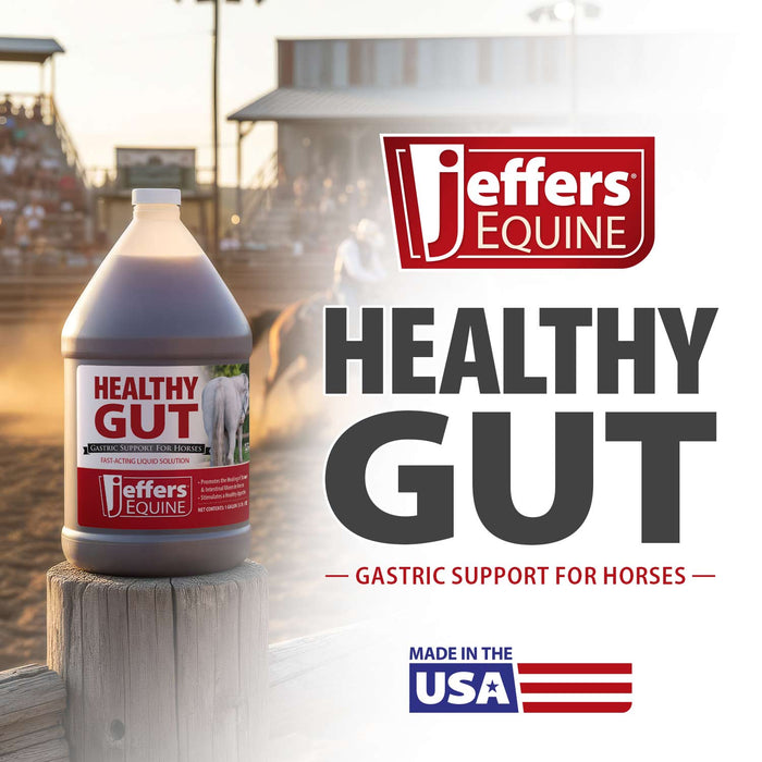 Jeffers Healthy Gut Gastric Support Liquid Supplement for Horses - JEF2PB - Gallon - 128 Day Supply - 1 - 4