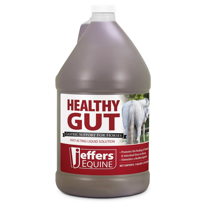 Jeffers Healthy Gut Gastric Support Liquid Supplement for Horses - JEF2PB - Gallon - 128 Day Supply - 1 - 3