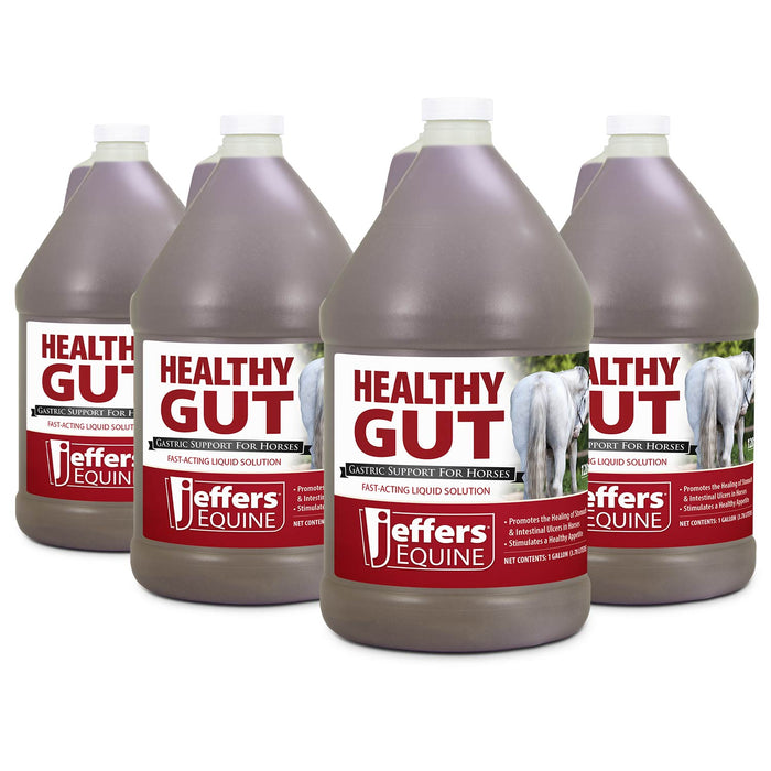Jeffers Healthy Gut Gastric Support Liquid Supplement for Horses - JEF2PB-KIT - Gallon - 128 Day Supply - 4 - 7
