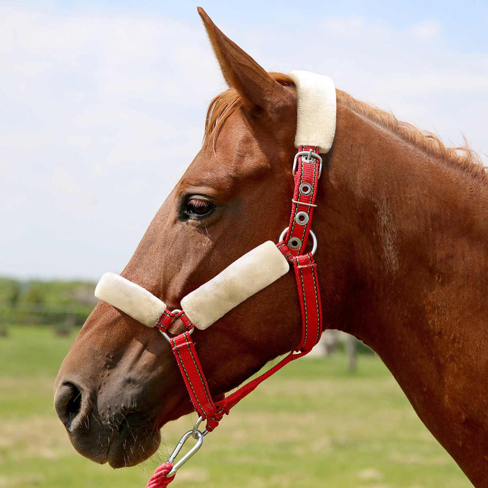 Jeffers Horse Fleece Halter Tube, 4 Piece Comfort Set - IASQ - 1