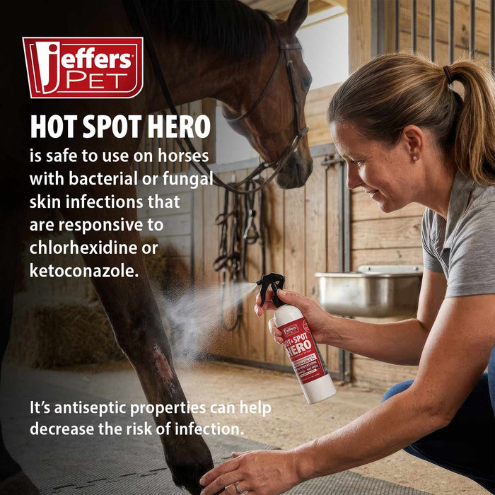 Jeffers Hot Spot Hero Antiseptic Spray for Dogs, Cats and Horses, 8 oz - JEF2Z4 - 8 oz - 7