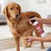 Jeffers Hot Spot Hero Antiseptic Spray for Dogs, Cats and Horses, 8 oz - JEF2Z4 - 8 oz - 6