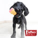 Jeffers Ice Cream Cone Natural Rubber Stuffable Treat Dispensing Dental Dog Chew Toy - I7QQ - Multi - Small - 1 - 6