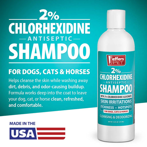 Jeffers Medicated 2% Chlorhexidine Shampoo for Dogs, Cats & Horses - JEFFFE - 16 oz - 1 - 2