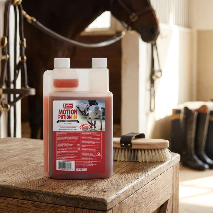 Jeffers Motion Potion Equine Joint Supplement Liquid with HA - JAXM3 - Cherry - 38 oz (28 to 38 servings) - 5