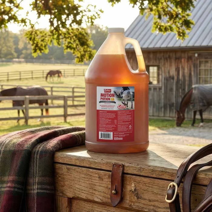 Jeffers Motion Potion Equine Joint Supplement Liquid with HA - JAXM4 - Cherry - 1 Gallon (up to 128 servings) - 8