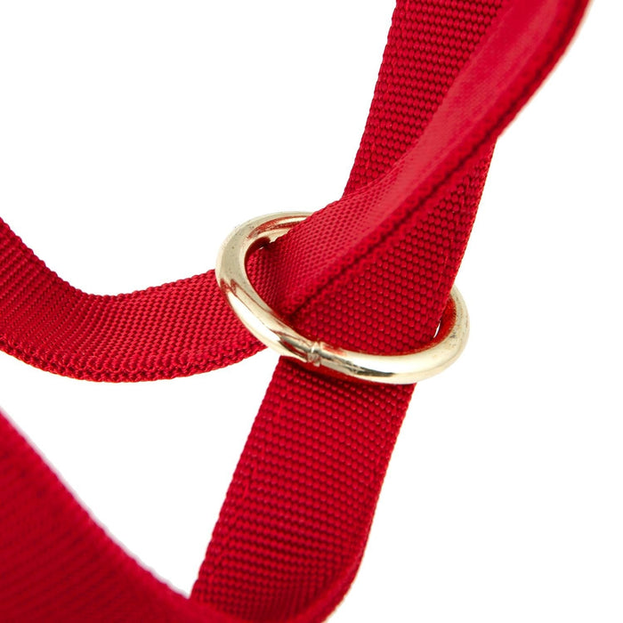 Jeffers Nylon Cow Halter - SSF3 - Small (250 - 450 lbs) - Red - 6