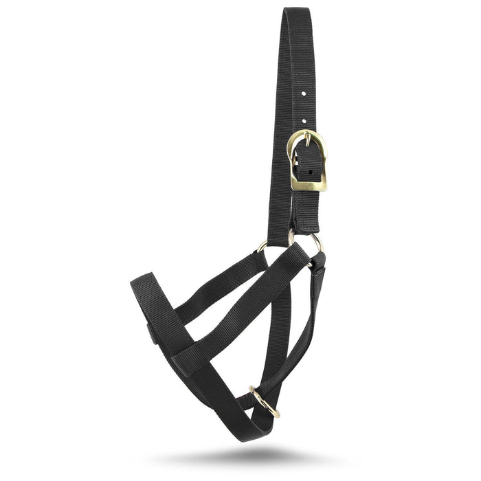 Jeffers Nylon Cow Halter - SSF4 - Small (250 - 450 lbs) - Black - 7