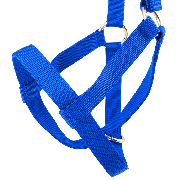 Jeffers Nylon Cow Halter - SSF4 - Small (250 - 450 lbs) - Black - 11