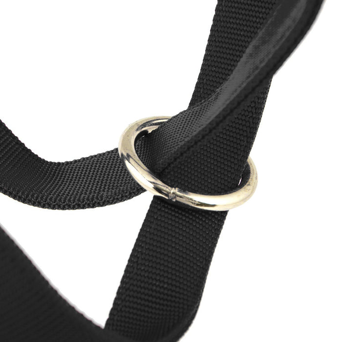 Jeffers Nylon Cow Halter - SSF4 - Small (250 - 450 lbs) - Black - 10