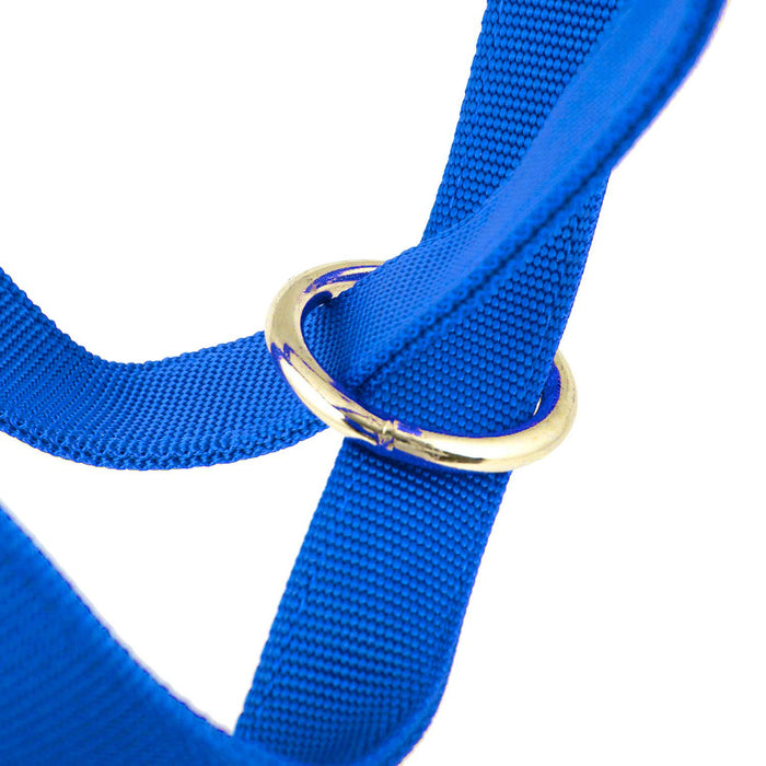 Jeffers Nylon Cow Halter - SSF5 - Small (250 - 450 lbs) - Royal Blue - 14