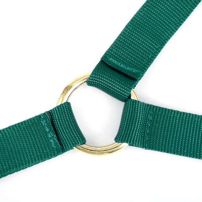 Jeffers Nylon Cow Halter - SSFT - Small (250 - 450 lbs) - Forest Green - 22