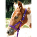 Jeffers Nylon "Grow With Me" Weanling Horse Halter, 3/4"W - SSGU - Red - 1