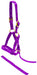 Jeffers Nylon "Grow With Me" Weanling Horse Halter, 3/4"W - SSGX - Purple - 4
