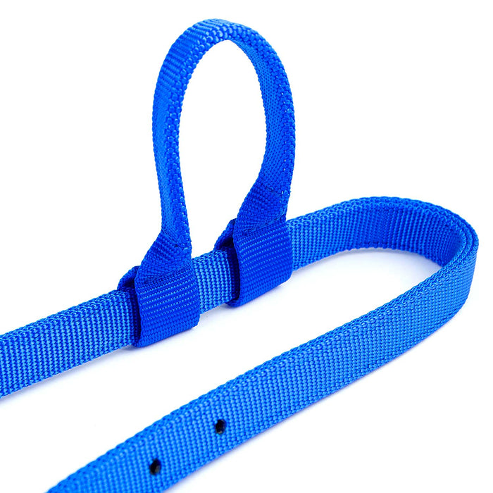 Jeffers Nylon One - Ear Western Horse Headstall - SSNF - Royal Blue - 20
