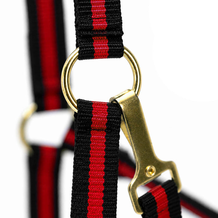 Jeffers Padded Nylon Horse Halter with Throat Snap - IA6D - Black/Red - 14