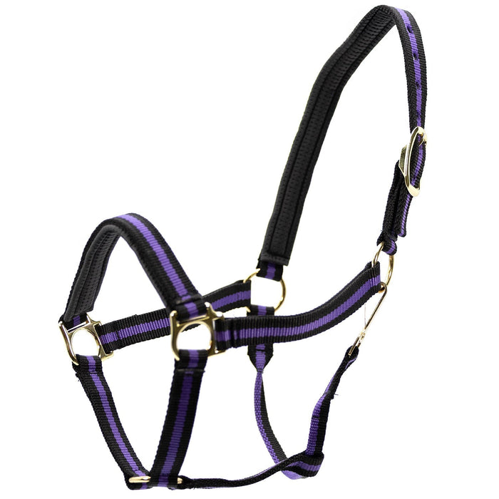 Jeffers Padded Nylon Horse Halter with Throat Snap - IA6E - Purple/Black - 17