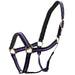 Jeffers Padded Nylon Horse Halter with Throat Snap - IA6E - Purple/Black - 17