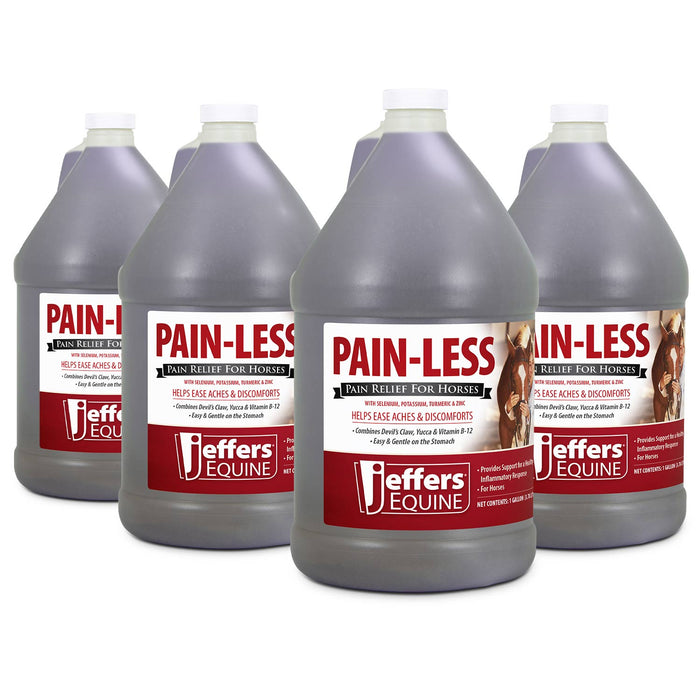 Jeffers Pain - Less Pain Relief Liquid for Horses - JEF2P8-KIT - Gallon - 4 - 8