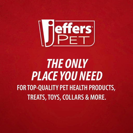 Jeffers Pet Dental Care Kit – Stainless Steel Scaler and Scraper Set for Dogs and Cats – Teeth Cleaning & Tartar Remover Tools - JIU5 - 4 Piece Pack - 6